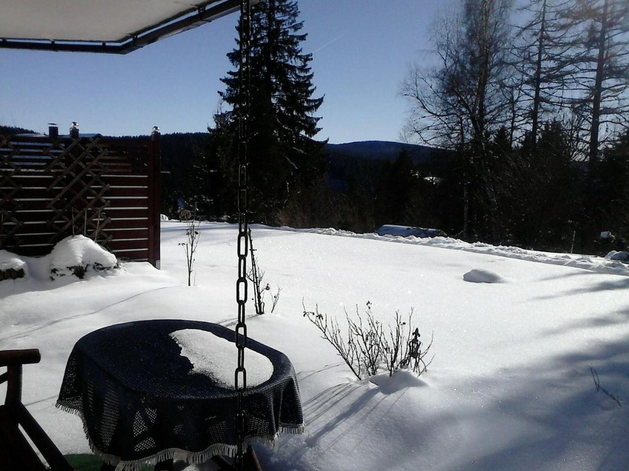 Sonnige-Waldruhe-Am-Skiberg Feldberg (Baden-Wurttemberg) Bagian luar foto